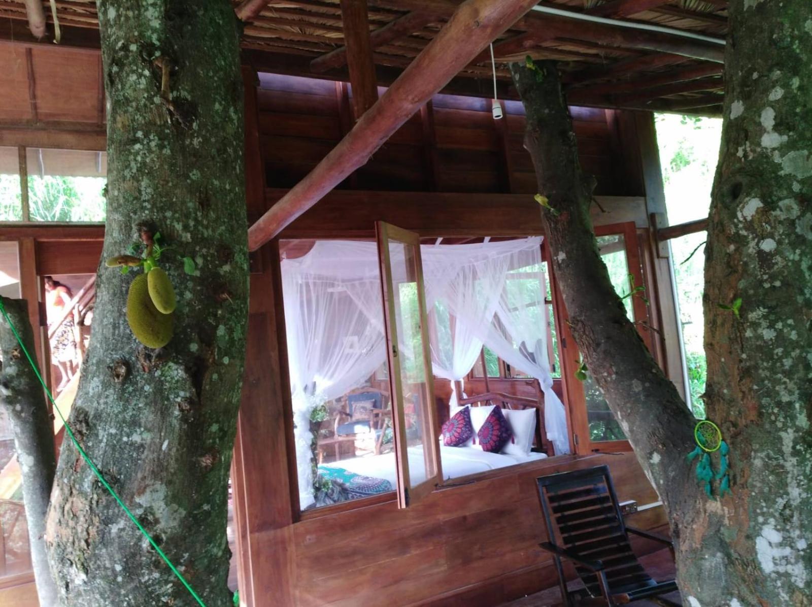 מלון Ella Treehouse מראה חיצוני תמונה