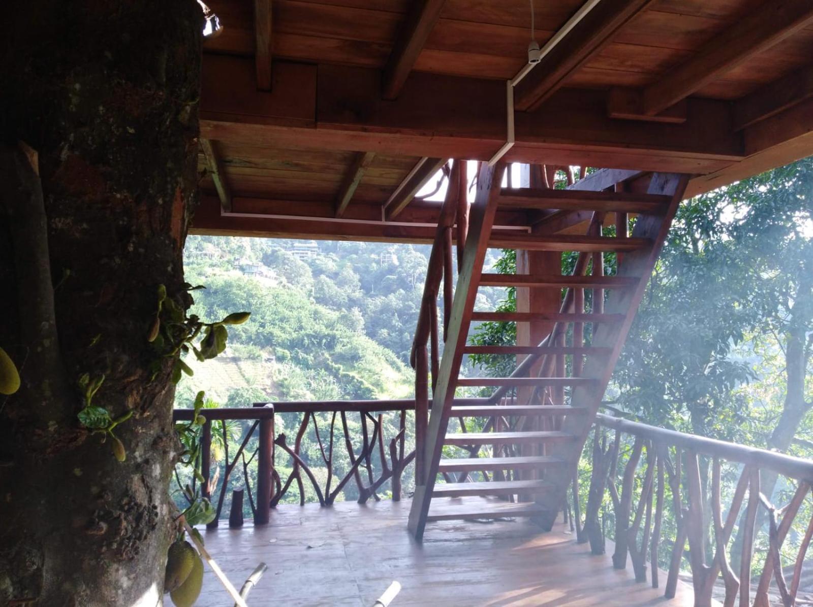 מלון Ella Treehouse מראה חיצוני תמונה