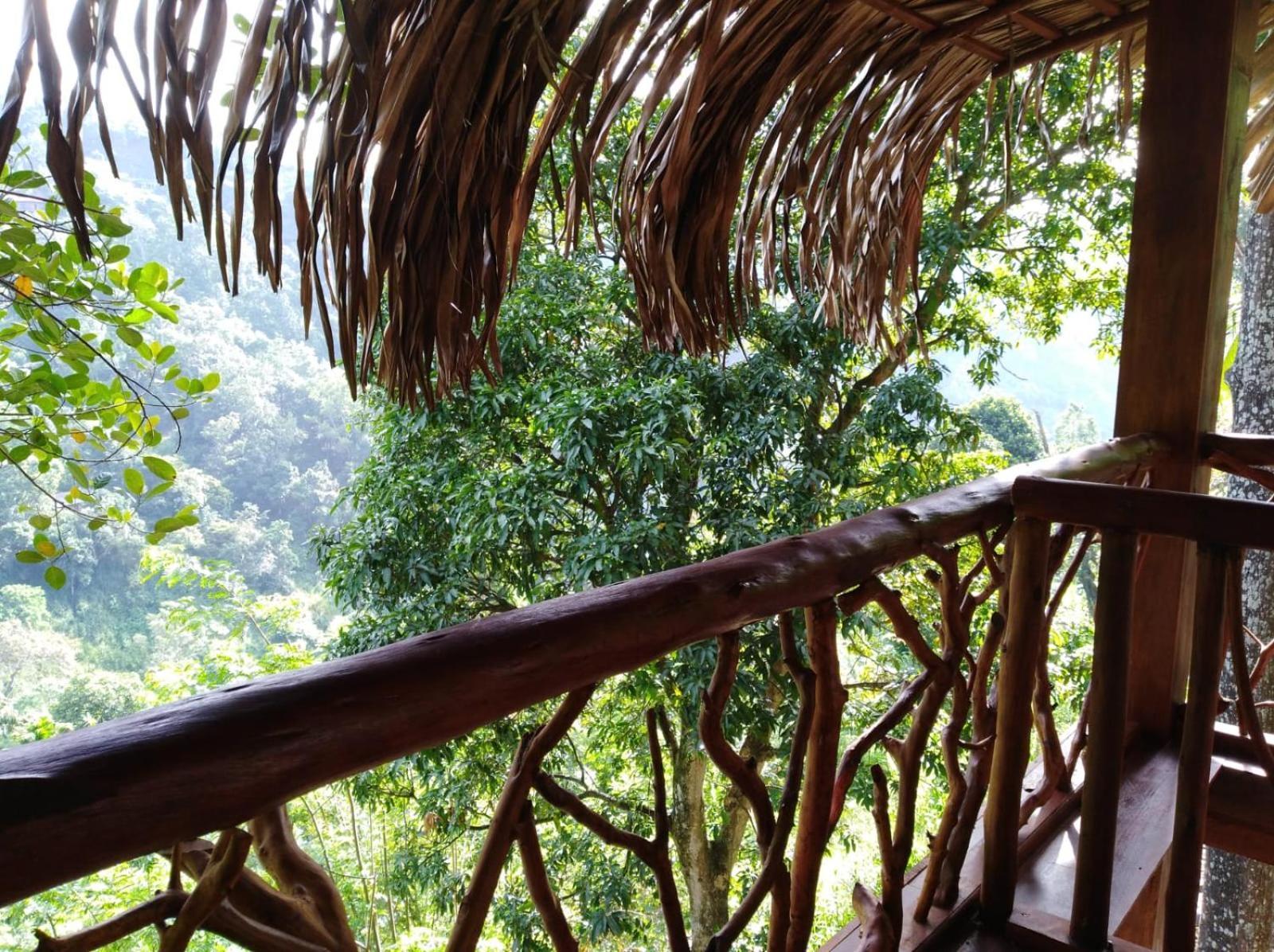מלון Ella Treehouse מראה חיצוני תמונה