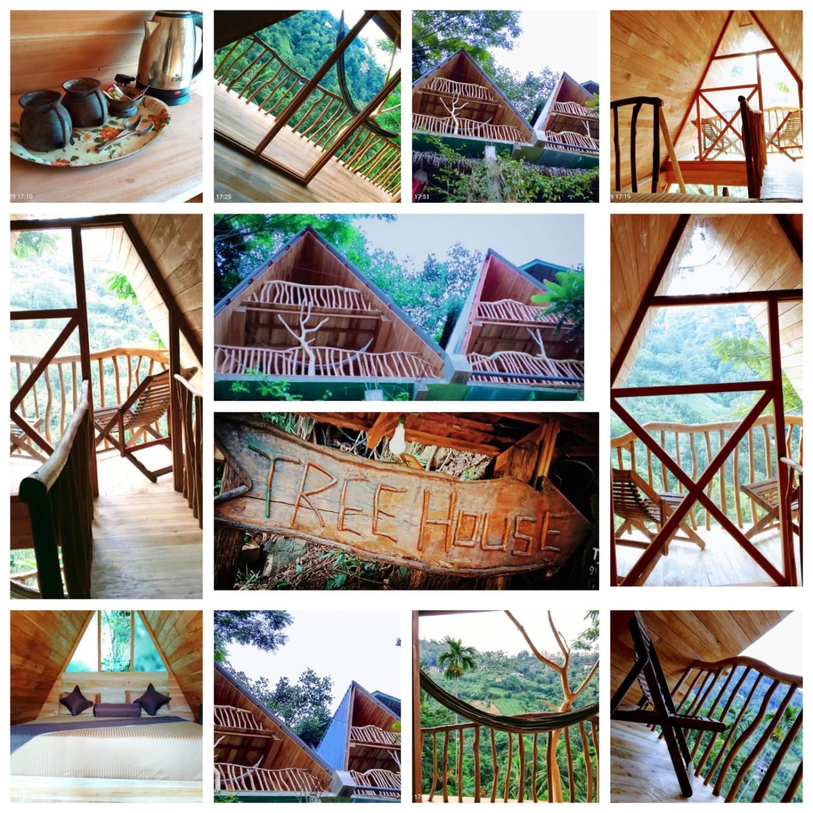 מלון Ella Treehouse מראה חיצוני תמונה