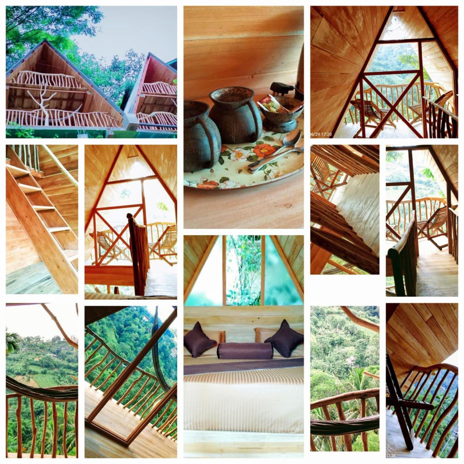 מלון Ella Treehouse מראה חיצוני תמונה